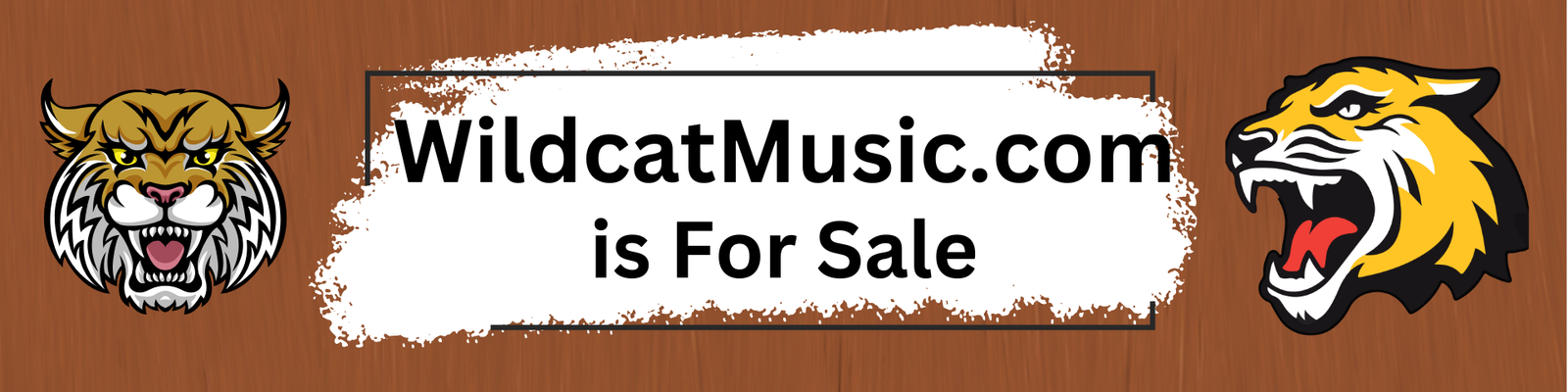 name meaning wild  cat music